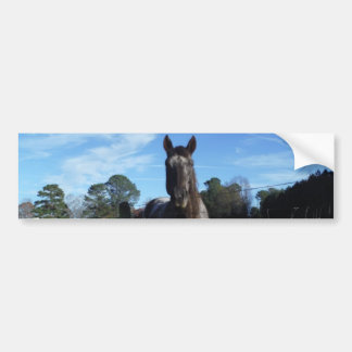 Mjölk Chocolate Brown Horse in Blue Bildekal