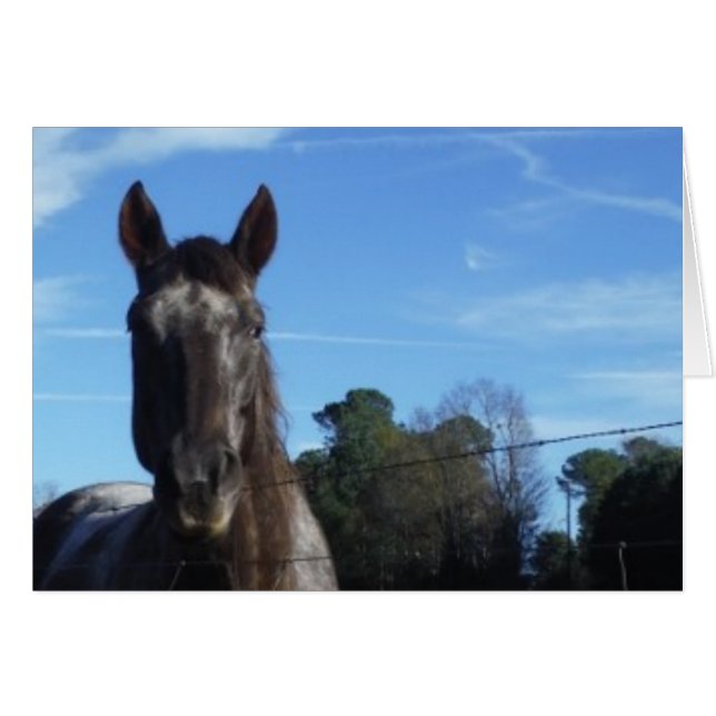 Mjölk Chocolate Brown Horse in Blue Hälsningskort (Framsidan Horizontal)