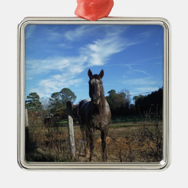 Mjölk Chocolate Brown Horse in Blue Julgransprydnad Metall (Framsidan)