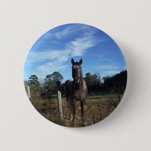 Mjölk Chocolate Brown Horse in Blue Knapp