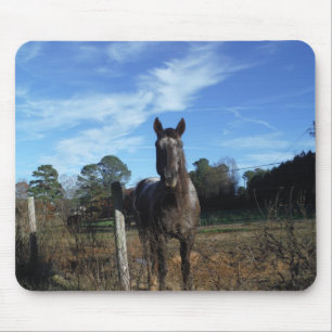 Mjölk Chocolate Brown Horse in Blue Musmatta