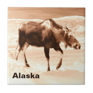 Mjölk Chocolate Moose Kakelplatta
