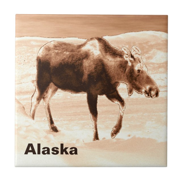 Mjölk Chocolate Moose Kakelplatta (Framsidan)