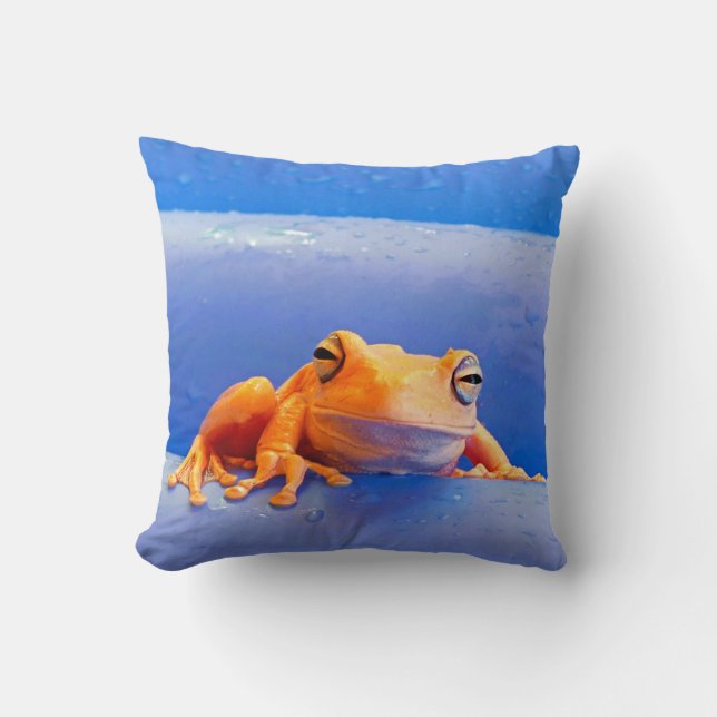 Mjölk Frog på en floatie Dekorativ kudde (Framsida)