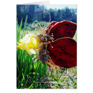 Mjölk i Daffodils Hälsningskort