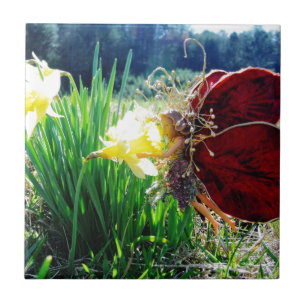 Mjölk i Daffodils Kakelplatta