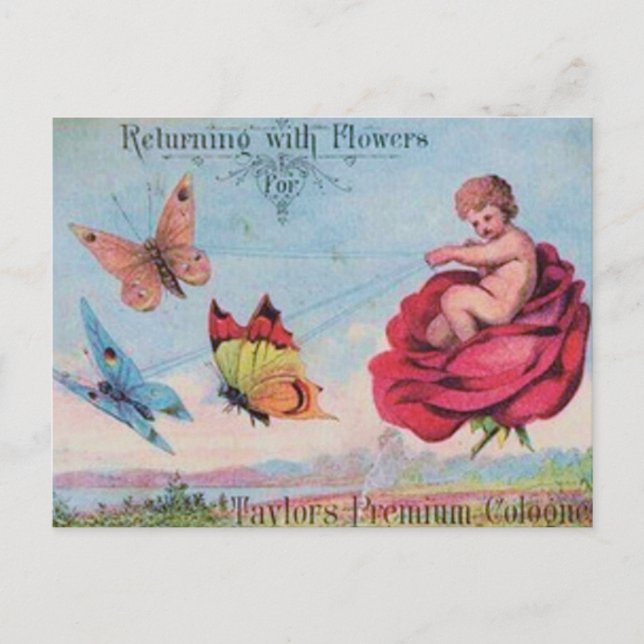 Mjölk och fjärilar, Köln Ad Vykort (Framsida)