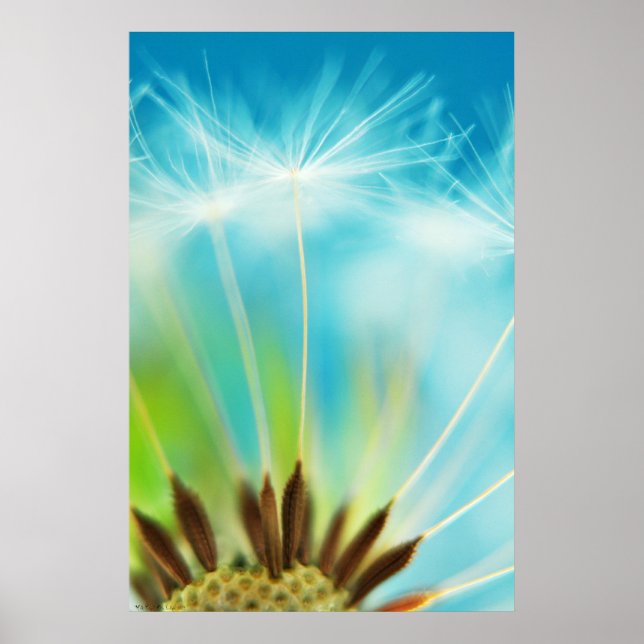 Mjölk Rays Poster (Framsidan)