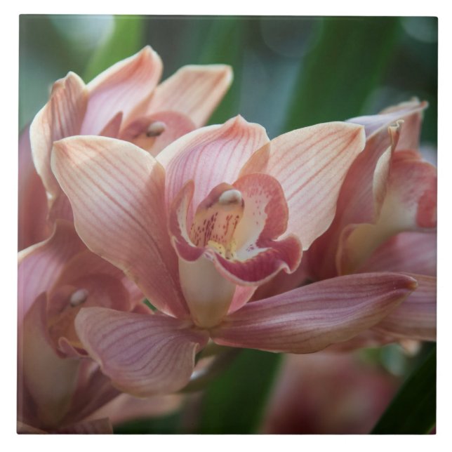 Mjölk Tea Orchid Kakelplatta (Framsidan)
