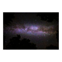 Mjölkaktig väg med träd silhouette