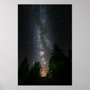 Mjölkaktig väg över grindskog poster
