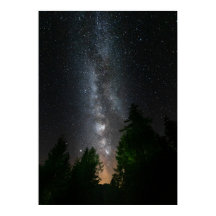 Mjölkaktig väg över grindskog