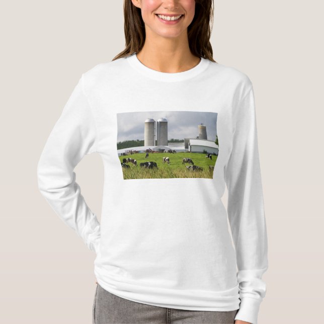 Mjölkkor och gård nära Taylor County Tee Shirt (Framsida)
