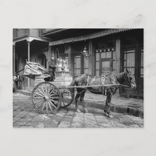 Mjölkleveransvagn, 1903 vykort (Framsida)
