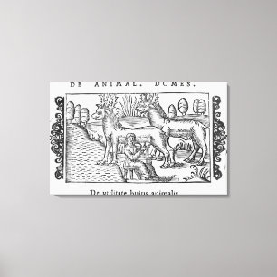 Mjölkningsrenar Canvastryck