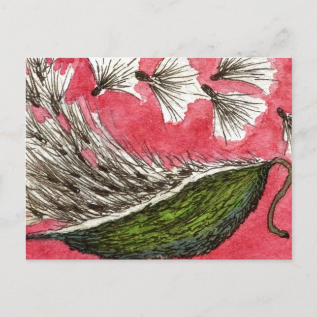 Mjölkweed Pod Blommigt vykort (Framsida)