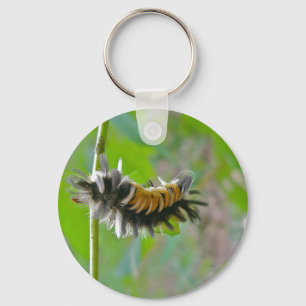 Mjölkweed Tussock Moth Caterpelarobjekt Nyckelring