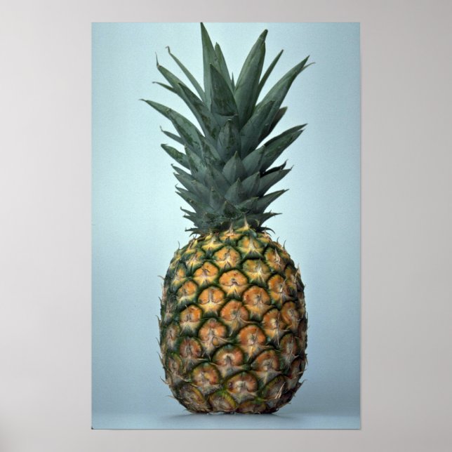 Mjuk ananas poster (Framsidan)