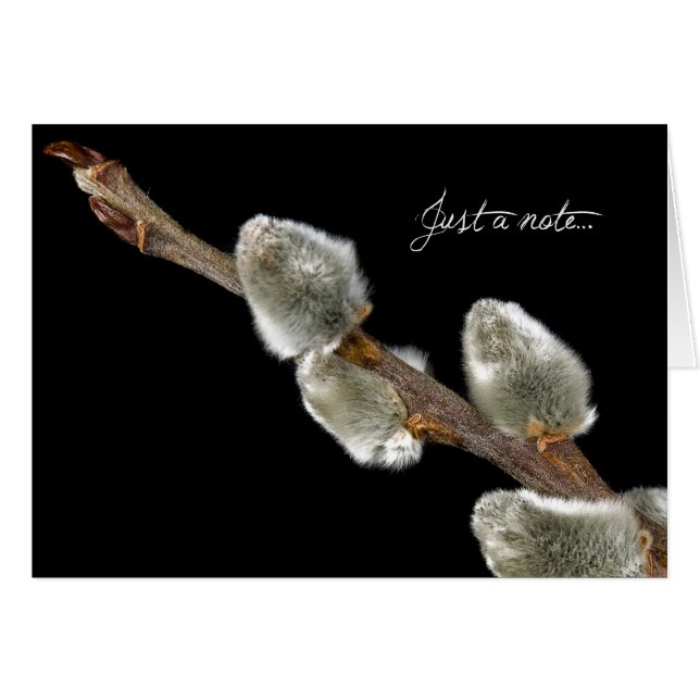 Mjuk beröring OBS kort (Framsidan Horizontal)