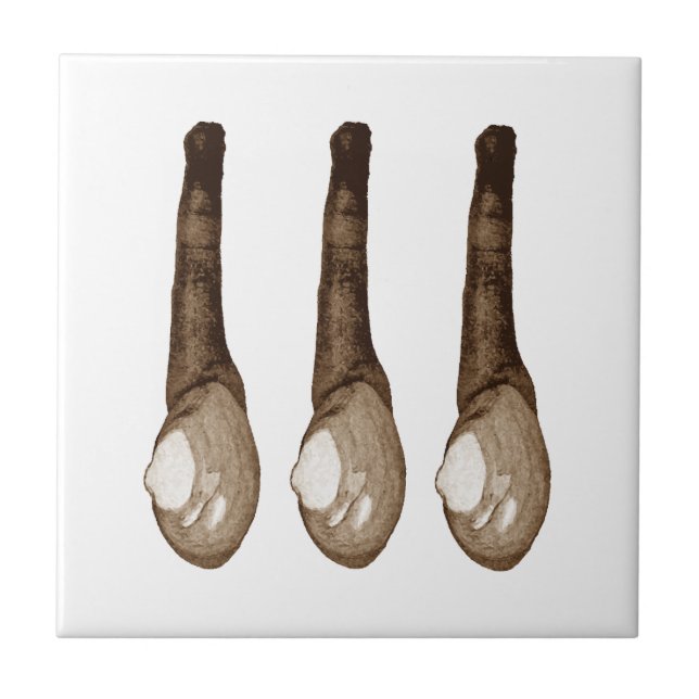 Mjuk-Besköt musslor Kakelplatta (Framsidan)