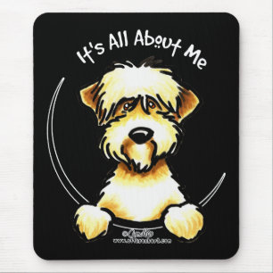 Mjuk bestruken Wheaten Terrier IAAM Musmatta