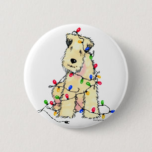 Mjuk bestruken Wheaten Terrier - jul Knapp