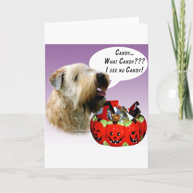 Mjuk bestruken Wheaten TerrierHalloween godis Kort (Framsida)