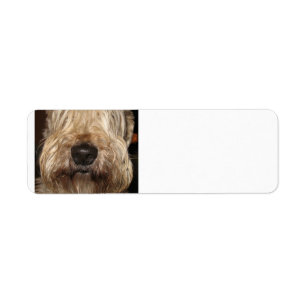 mjuk bestruken wheaton terrier.png returadress etikett