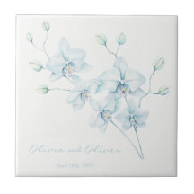 Mjuk blå orchid