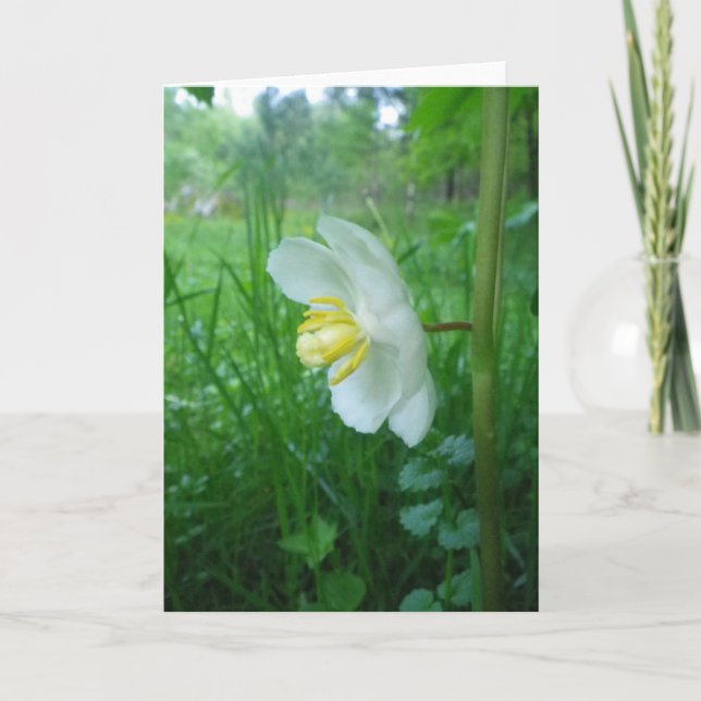 Mjuk Blommar Card Kort (Framsida)