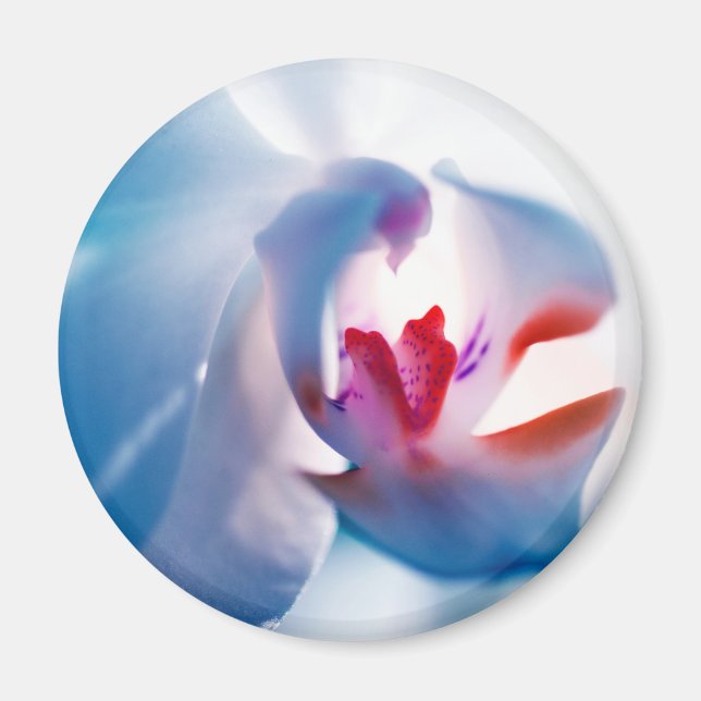 Mjuk Färg Orchid Skriv ut Magnet (Framsidan)