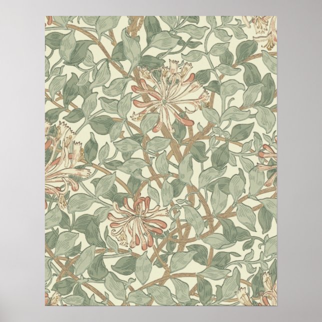 Mjuk grön vintage William Morris kaprifol Poster (Framsidan)