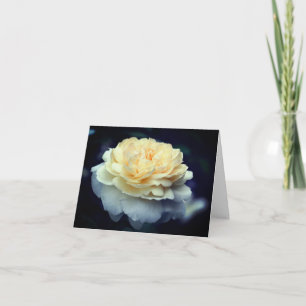 Mjuk gul rosblomma fotografering anteckningskort