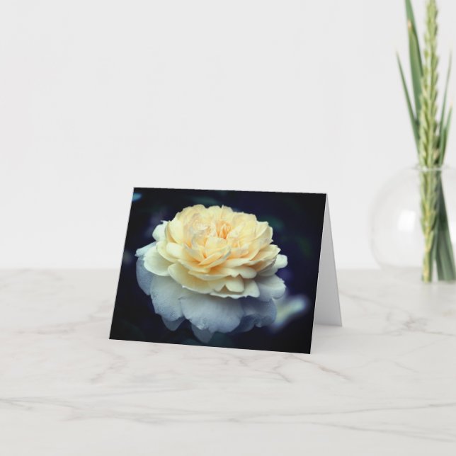 Mjuk gul rosblomma fotografering  anteckningskort (Framsida)