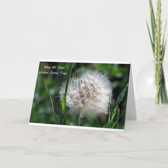 Mjuk in alla dina Önskemål Kom True Greeting Card Kort (Framsida)