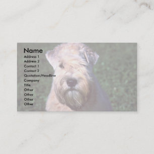 Mjuk-jackad Wheaten Terrier Visitkort