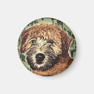 Mjuk-Jackad Wheaten Terriervalp med vått ansikte Magnet