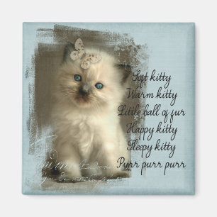 Mjuk kattunge, ragdollmagnet magnet