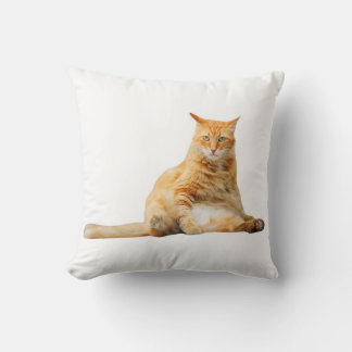 Mjuk kudde med söt orange katt