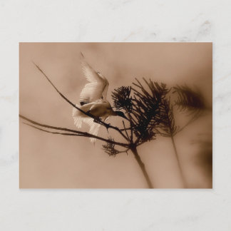 mjuk landning vykort