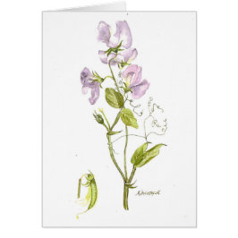 Mjuk lila sötärter, vattenfärg hälsningskort