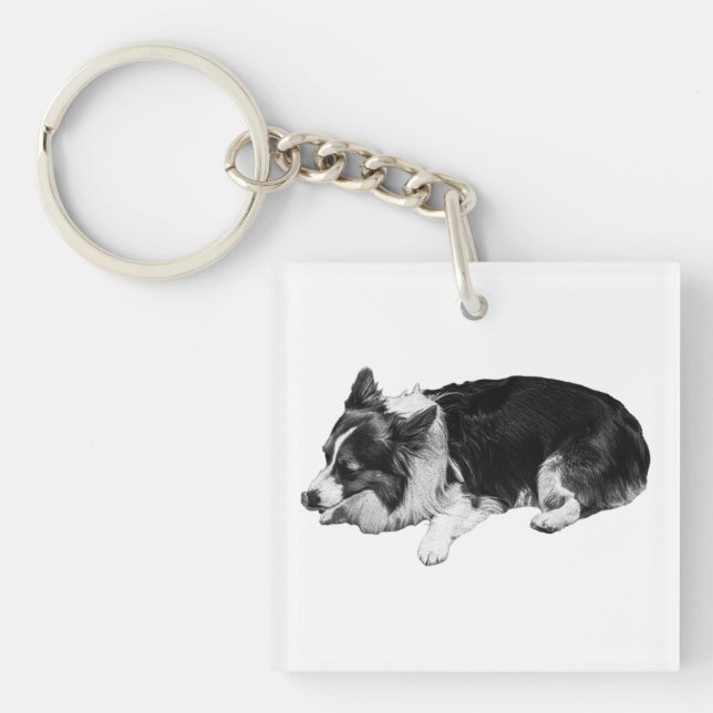 mjuk lugn bär, corgi (Framsidan)