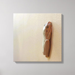 Mjuk Mjölk Frog på Kanvastryck som sparats