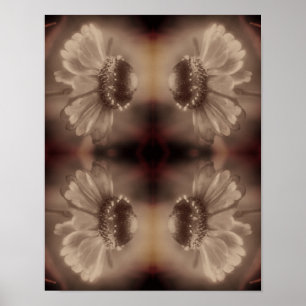 Mjuk nedgång i Zinnia- Daisyn i Vintage Sepia- Abs Poster