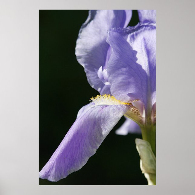 Mjuk och känslig poster (Framsidan)