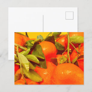 Mjuk Orange Fruktbedövning Vykort