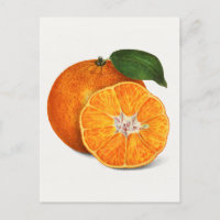 Mjuk Orange Tangerine-färgsfärg