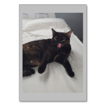 Mjuk päls, Katt, antikonceptionsflashkort