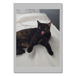 Mjuk päls, Katt, antikonceptionsflashkort Bordsnummer