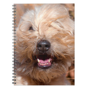 Mjuk päls Wheaten Terrier porträtt Anteckningsbok